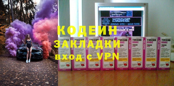 крисы Абаза
