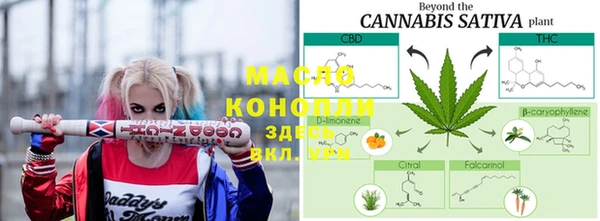 гашик Алексеевка