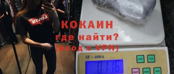 гашик Алексеевка