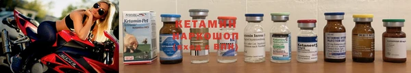 прущие грибы Нязепетровск